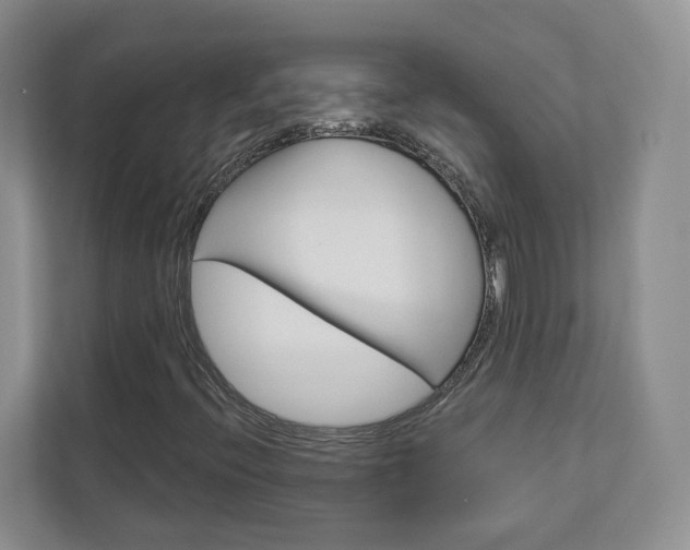 X0000113001396200908270910