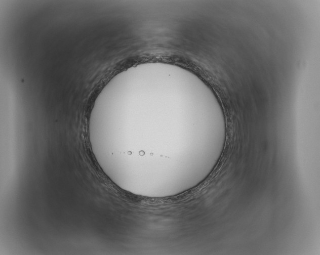 X0000113001397200908270910