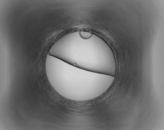 X0000113001398200908270910