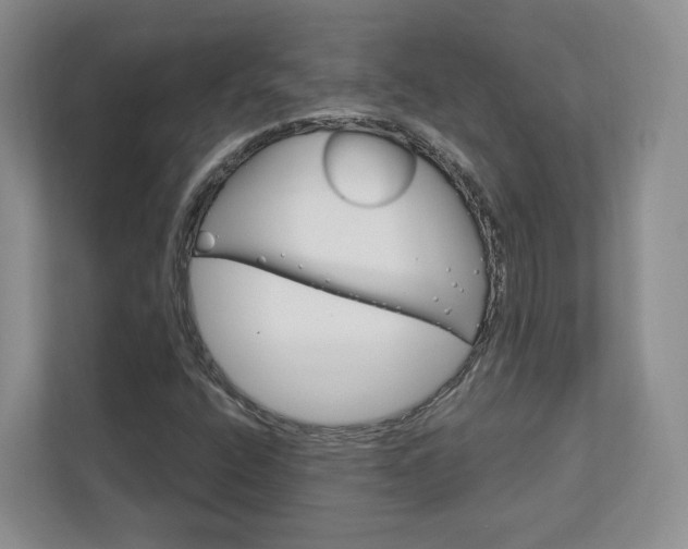 X0000113001400200908270910