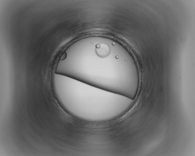 X0000113001402200908270910