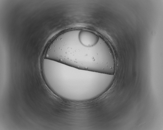 X0000113001404200908270910