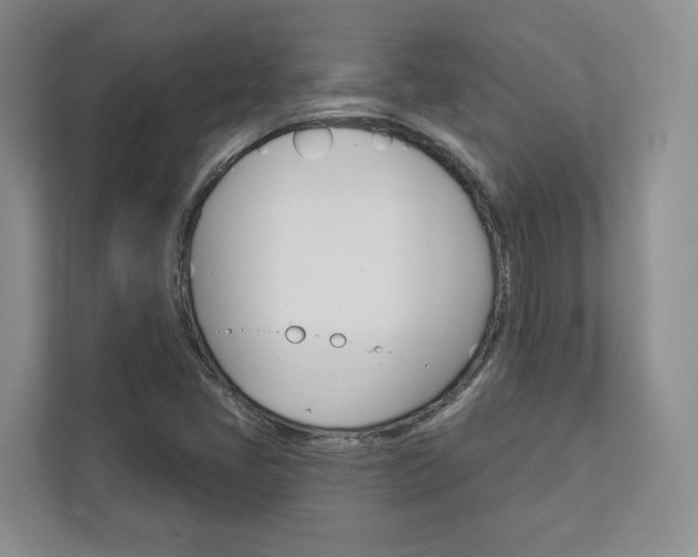 X0000113001405200908270910