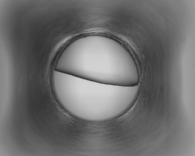 X0000113001406200908270910