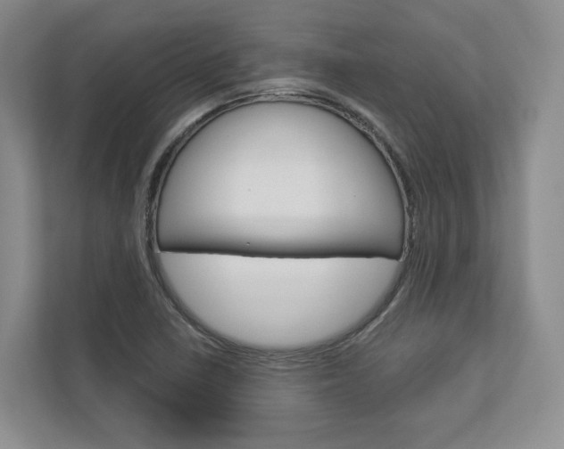 X0000113001410200908270910