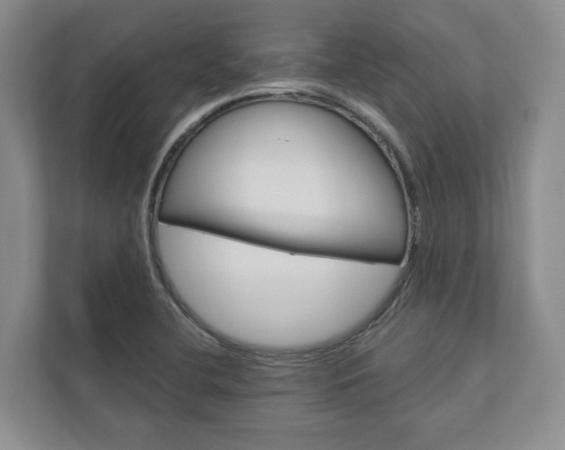 X0000113001412200908270910