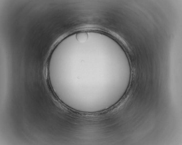 X0000113001413200908270910