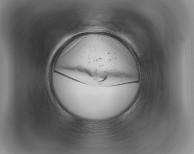 X0000113001414200908270910