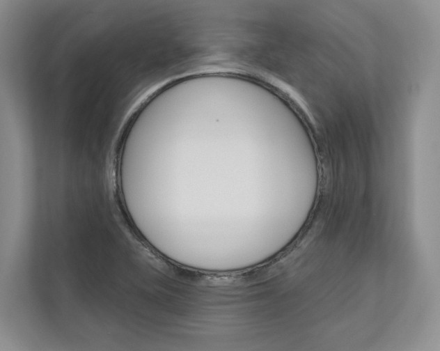 X0000113001415200908270910