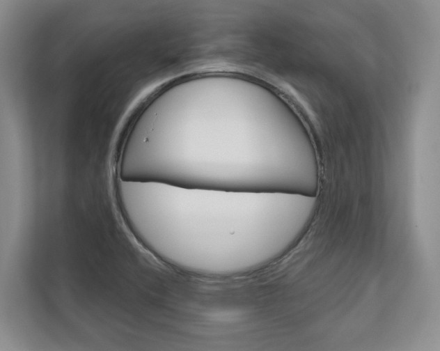 X0000113001416200908270910