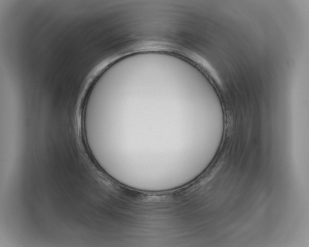 X0000113001419200908270910