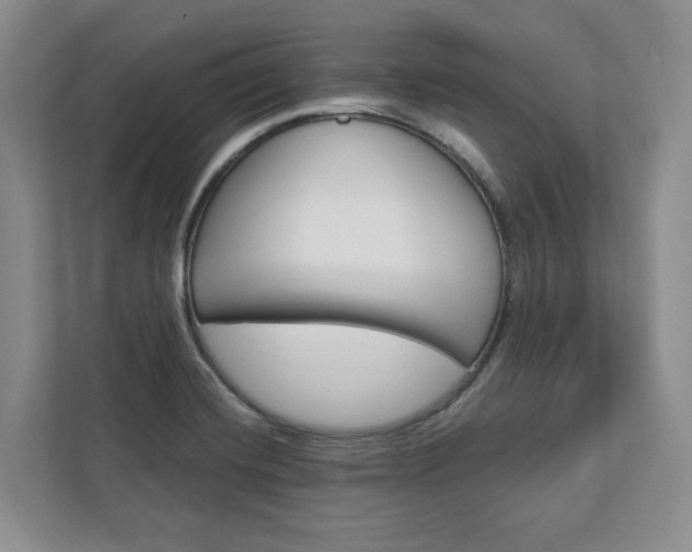 X0000113001420200908270910