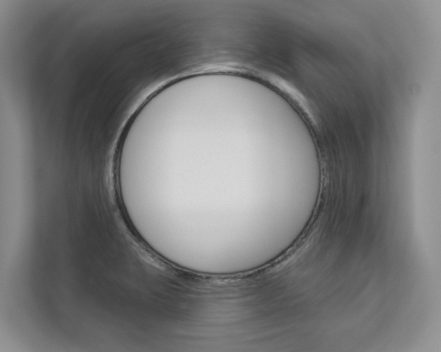 X0000113001423200908270910