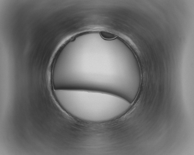 X0000113001424200908270910