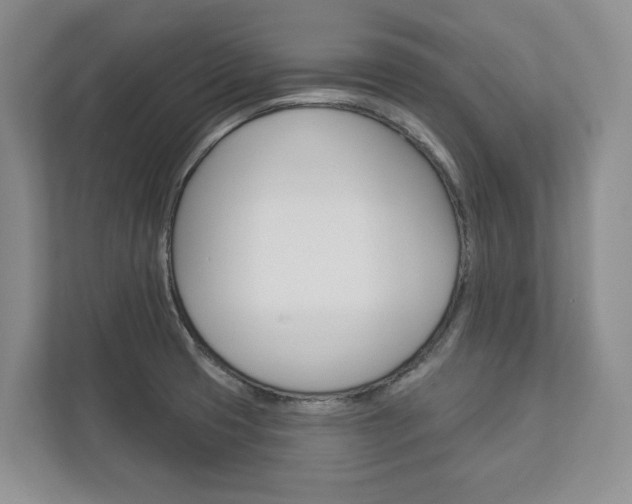 X0000113001425200908270910