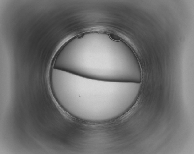 X0000113001426200908270910