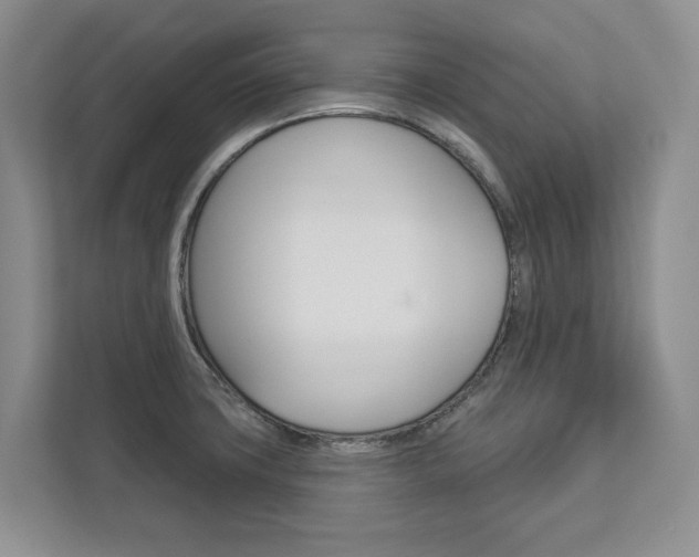X0000113001427200908270911