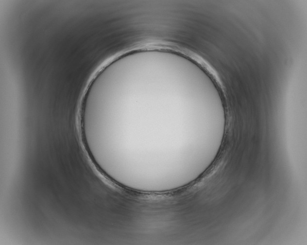 X0000113001429200908270911