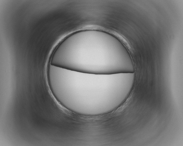 X0000113001430200908270911