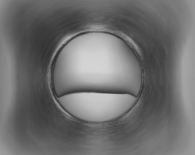 X0000113001432200908270911