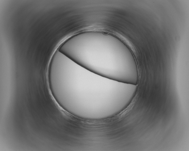 X0000113001434200908270911