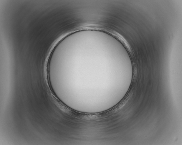 X0000113001435200908270911