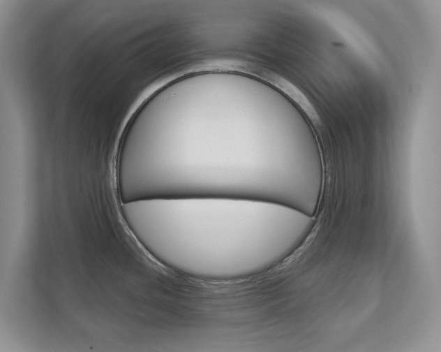 X0000113001436200908270911