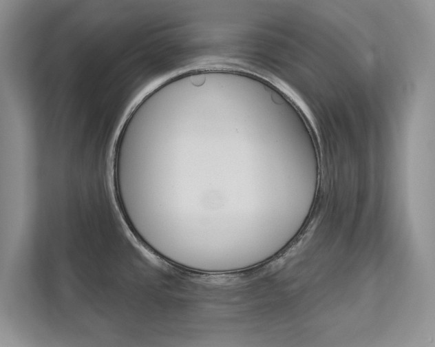 X0000113001437200908270911