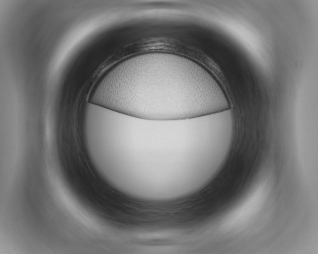 X0000113001438200908270911