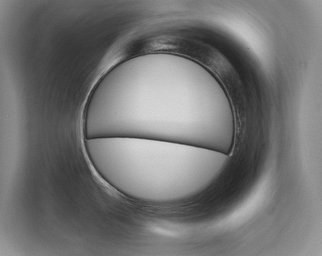 X0000113001439200908270911