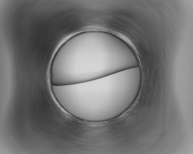 X0000113001440200908270911