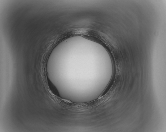 X0000113001441200908270910