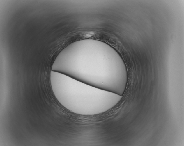 X0000113001442200908270910