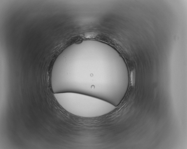 X0000113001443200908270910