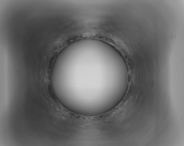 X0000113001445200908270910