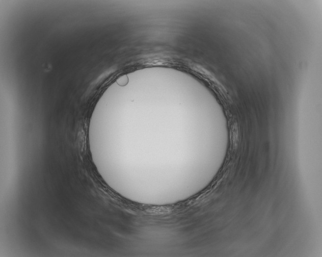 X0000113001446200908270910