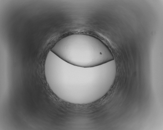 X0000113001447200908270910