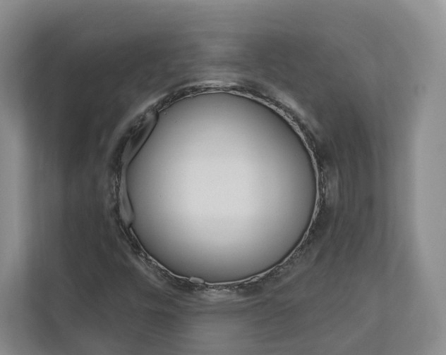 X0000113001448200908270910