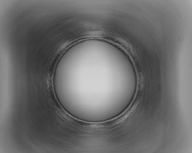 X0000113001449200908270910