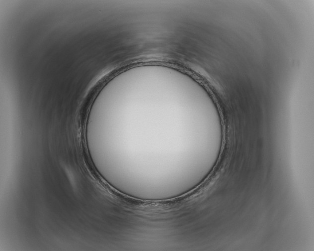 X0000113001450200908270910