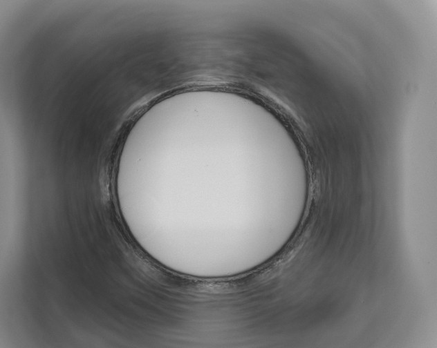 X0000113001451200908270910