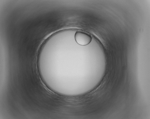 X0000113001452200908270910