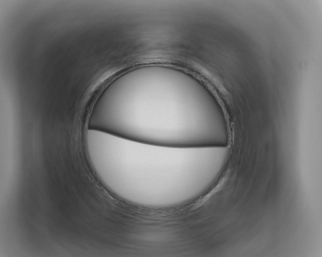 X0000113001453200908270910