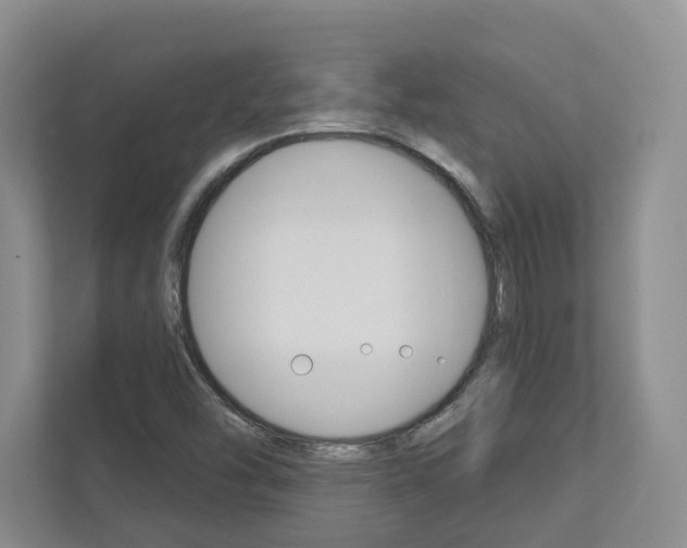 X0000113001454200908270910