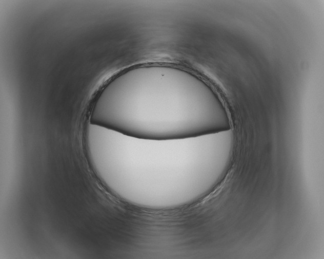 X0000113001455200908270910