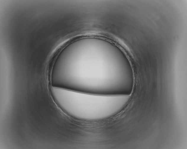 X0000113001456200908270910