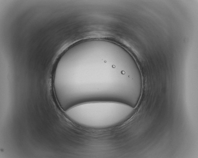 X0000113001459200908270910