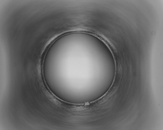 X0000113001460200908270910