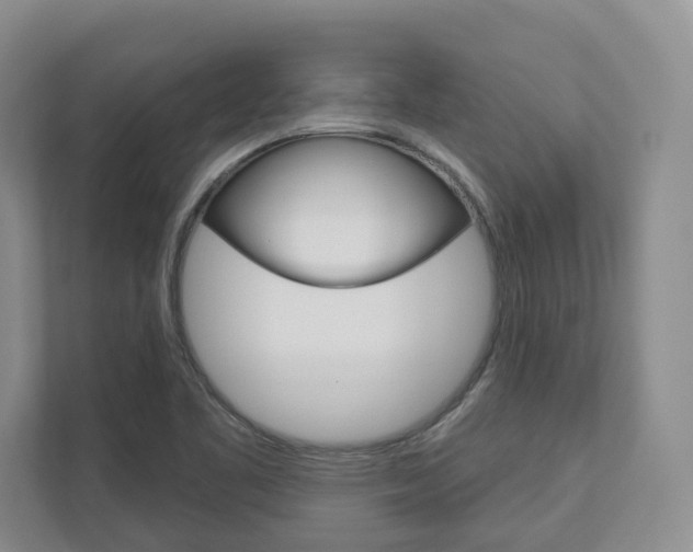 X0000113001461200908270910