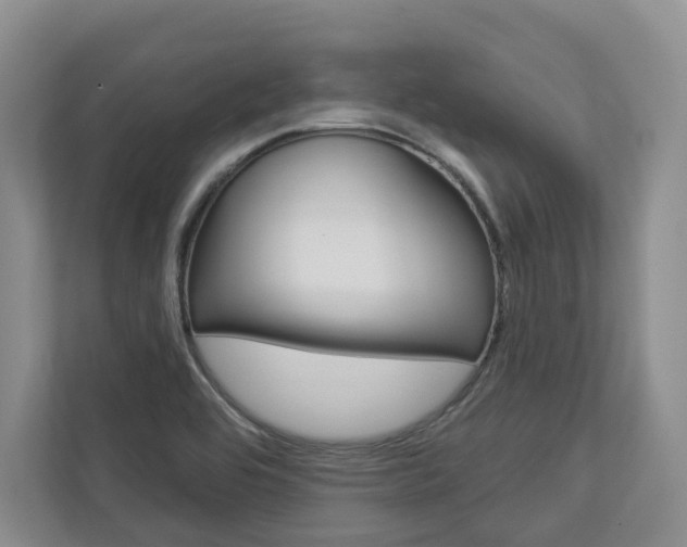 X0000113001464200908270910